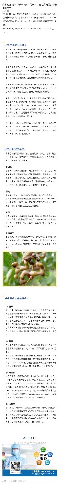 药食同源|这种“千杯不醉”的原料，竟是我国首批药食同源物质！